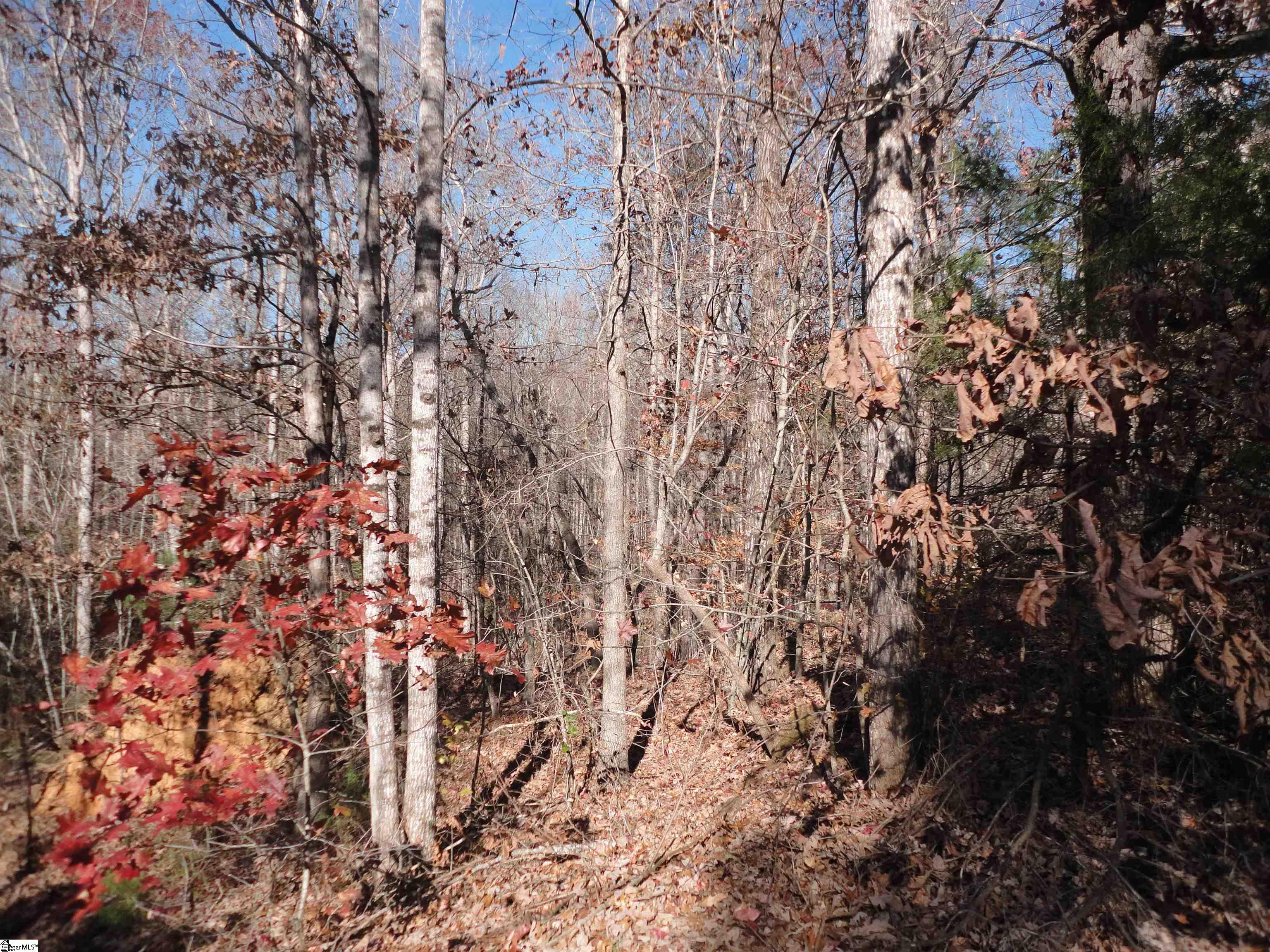 148 Timberstone Trail Six Mile, SC 29682 - Photo 3 of 8 Gallery Image 3