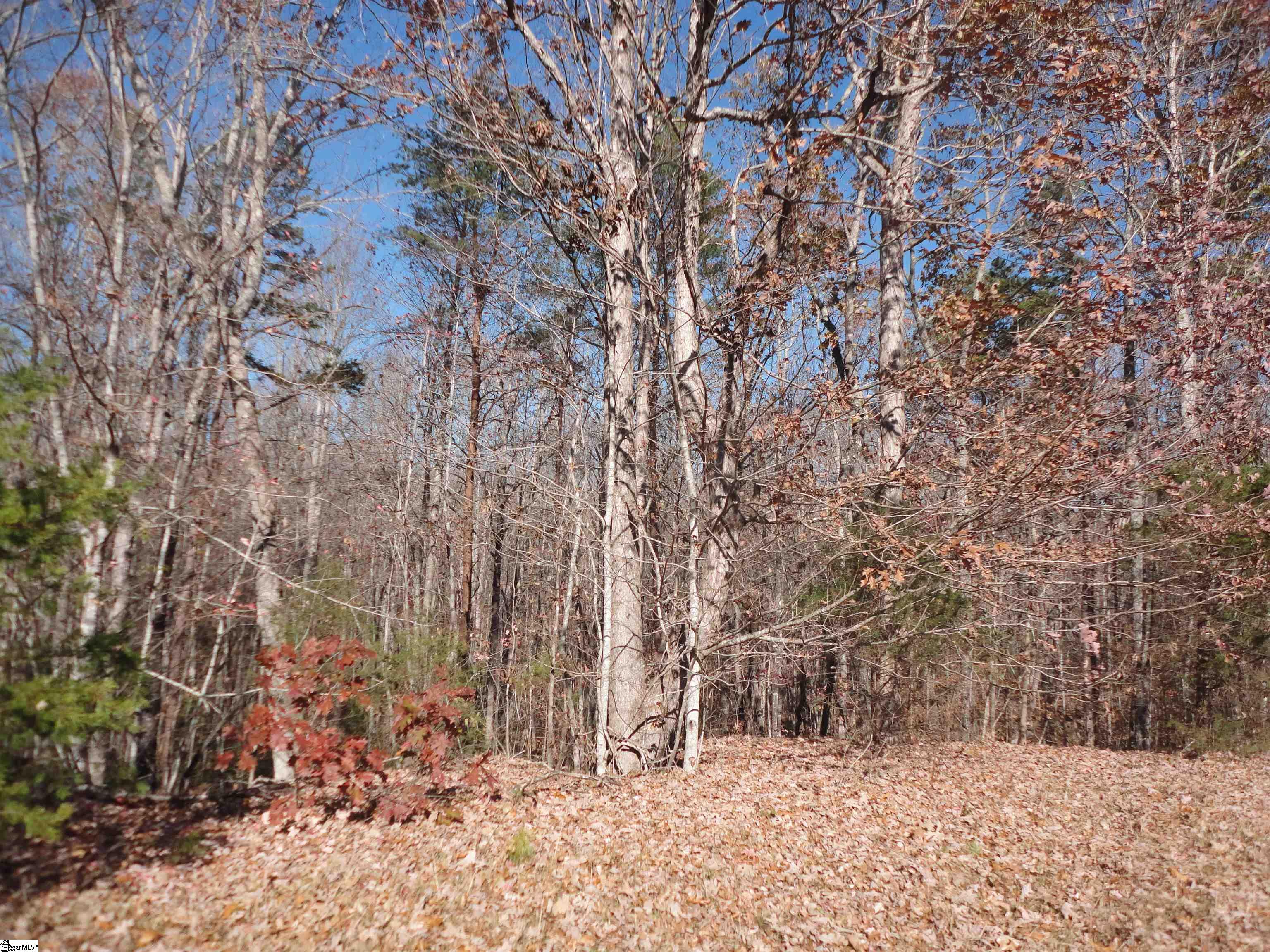 148 Timberstone Trail Six Mile, SC 29682 - Photo 4 of 8 Gallery Image 4