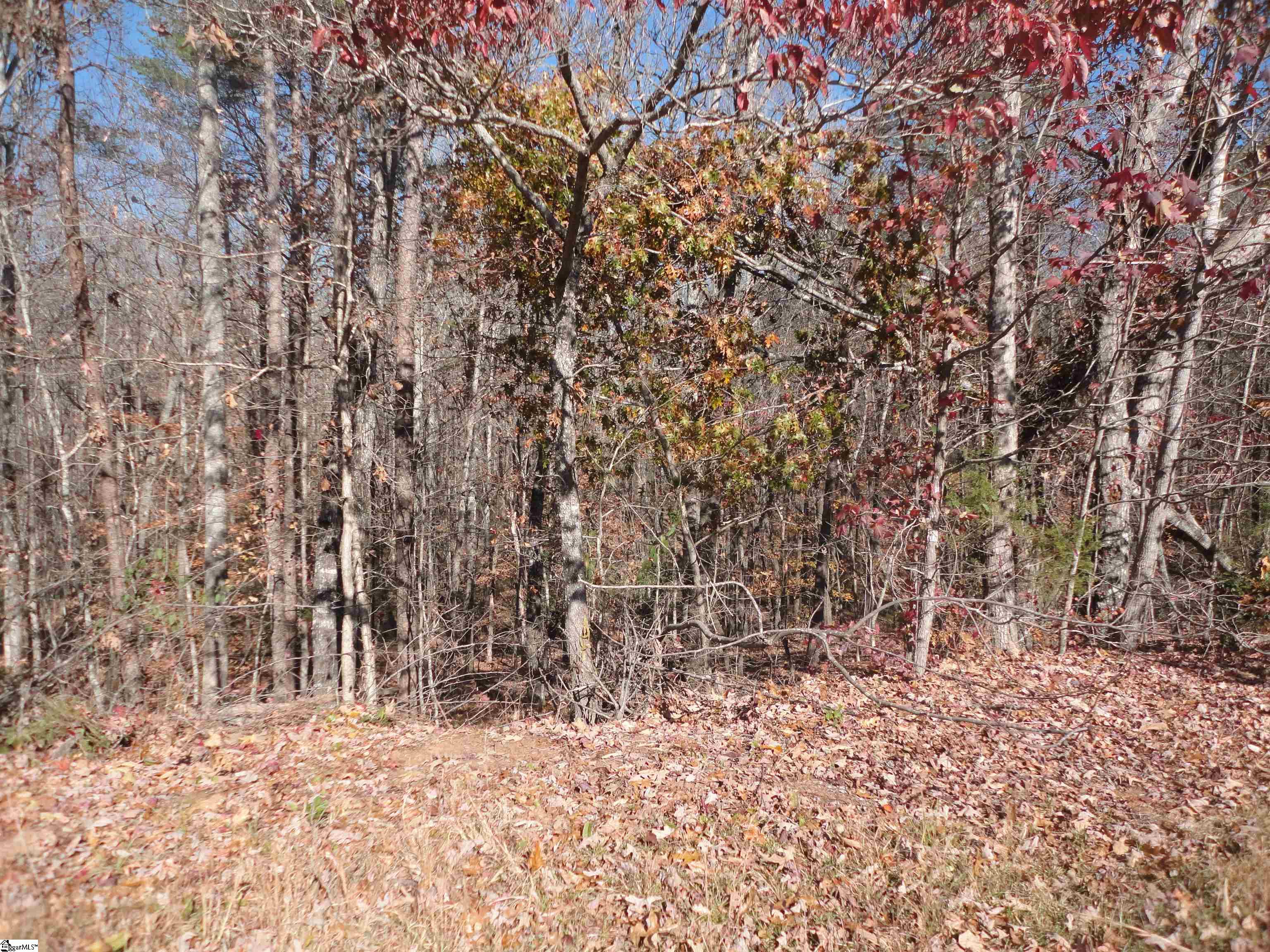 148 Timberstone Trail Six Mile, SC 29682 - Photo 5 of 8 Gallery Image 5