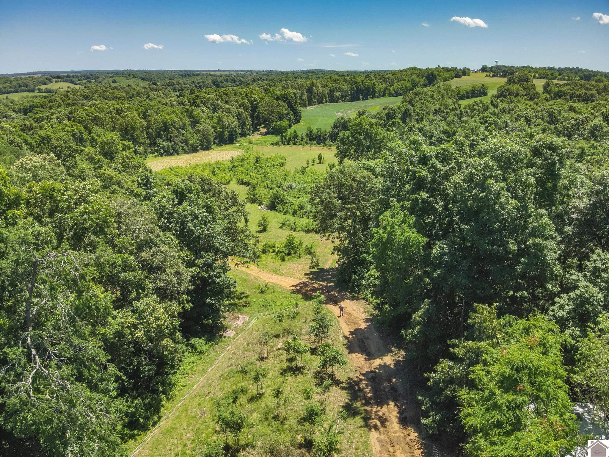 869 Cave Spring Road Smithland, KY 42081 - Photo 1 of 37 Aerial