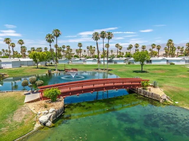 a view of a big yard with a garden and palm trees