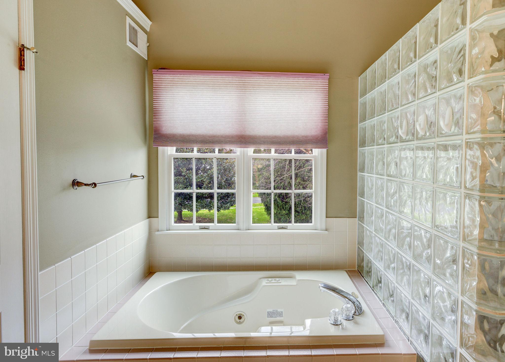 114 Tindall Road Robbinsville, NJ 08691 - Photo 28 of 59 Master Bath Soaking Tub
