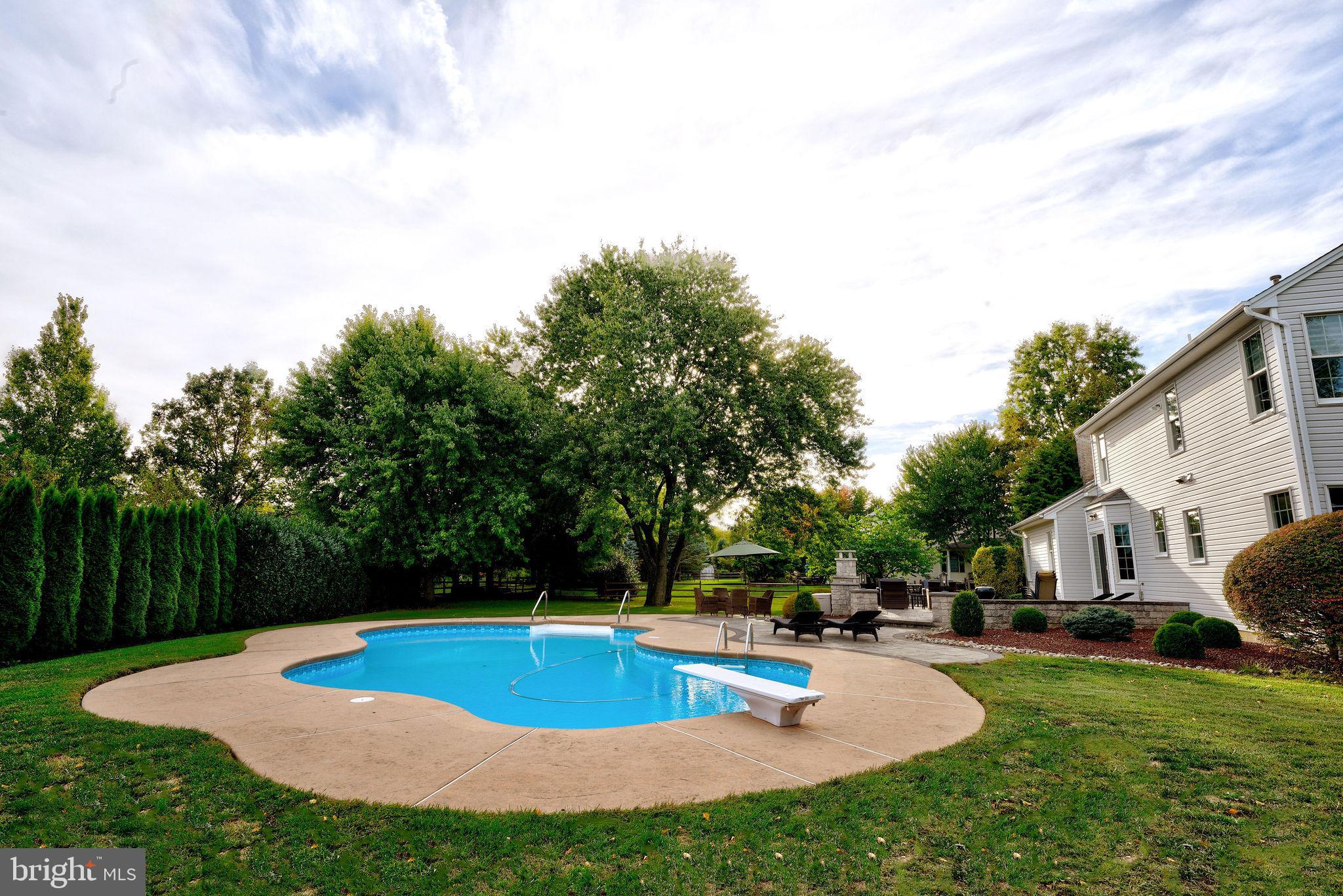 114 Tindall Road Robbinsville, NJ 08691 - Photo 54 of 59 Salt Water Pool