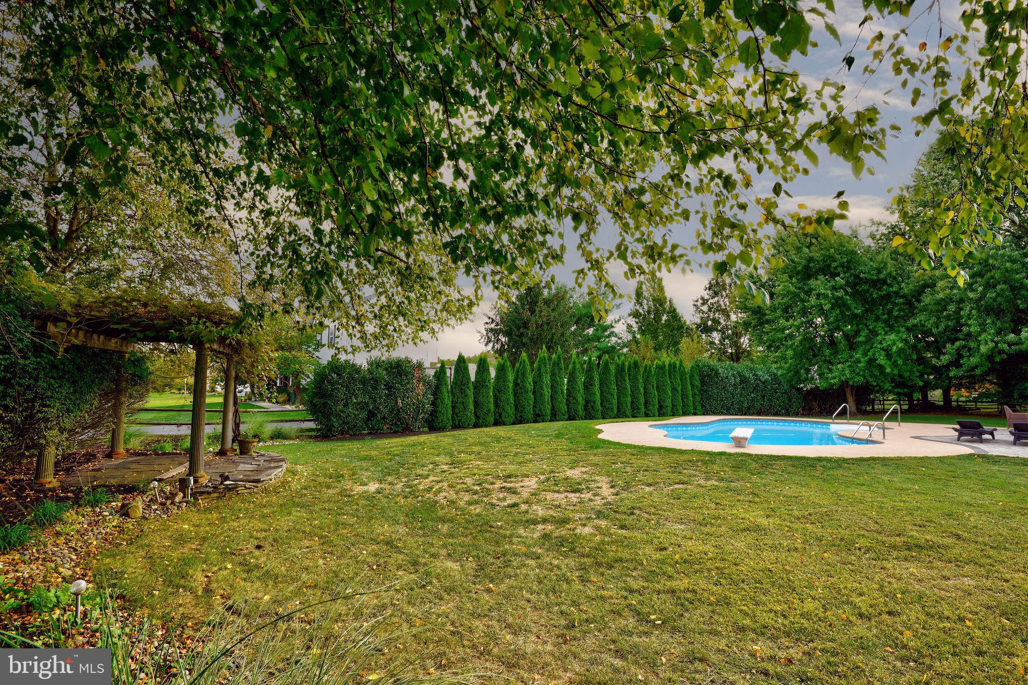 114 Tindall Road Robbinsville, NJ 08691 - Photo 56 of 59 Grape Vine Trellis