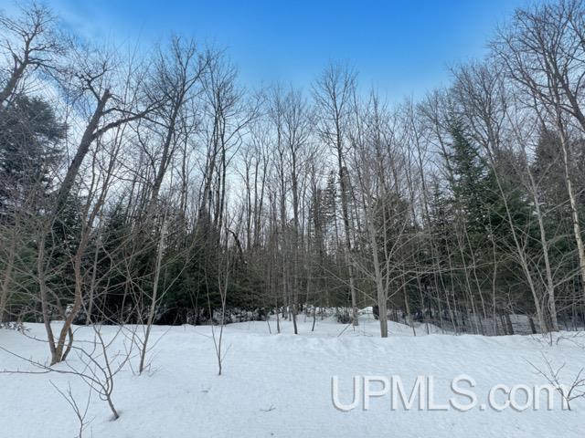 Lot 7 West Tamarack Lake Road Watersmeet, MI 49969 - Photo 9 of 11