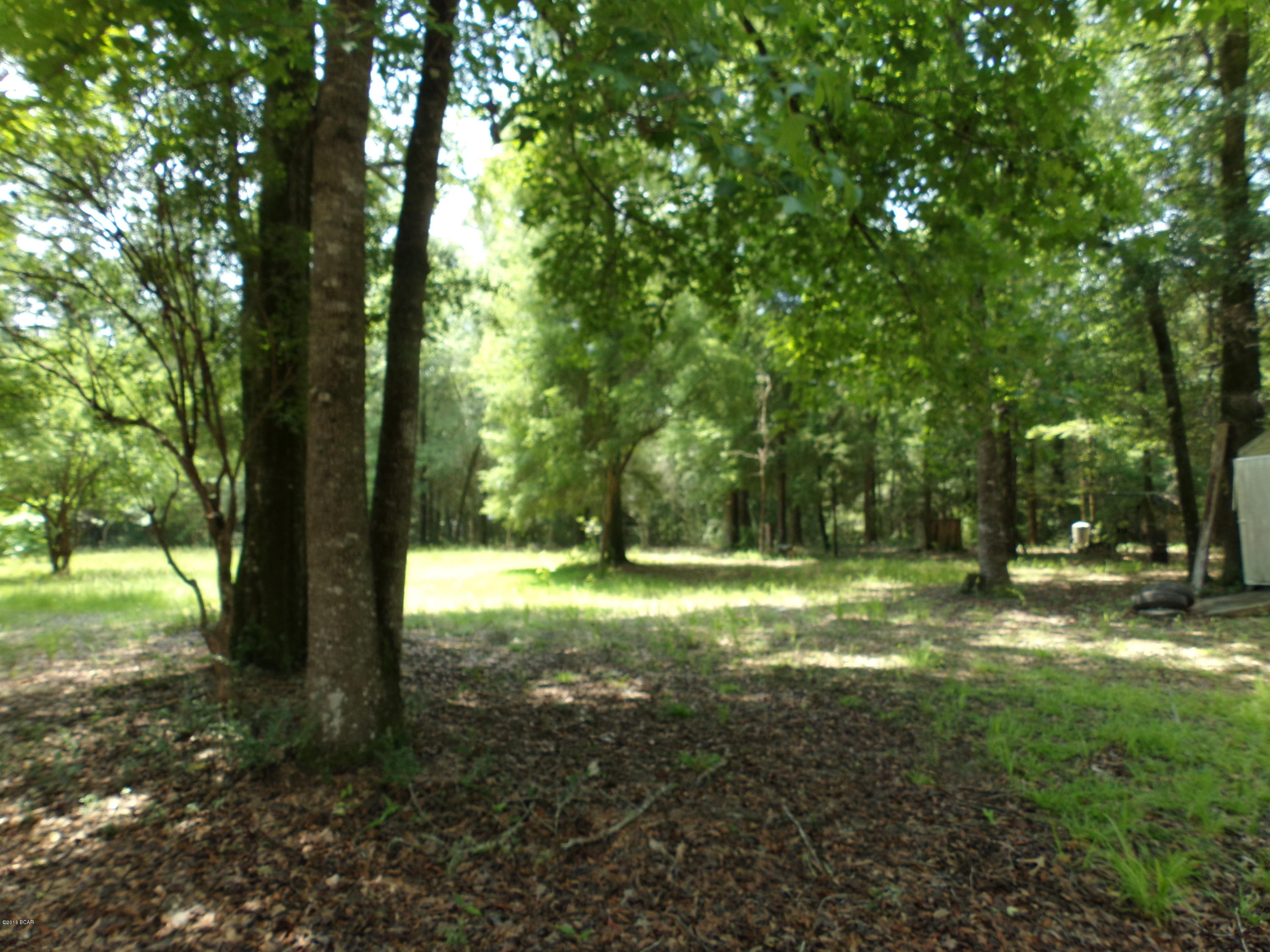4014 River Road Vernon, FL 32462 - Photo 7 of 24