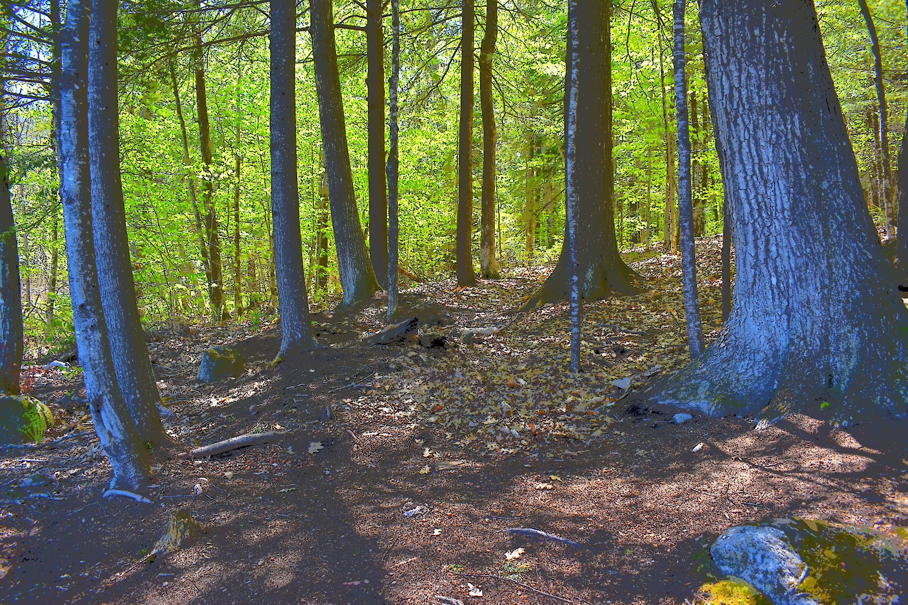 71 Cove Road Readfield, ME 04355 - Photo 2 of 9 DSC_0770