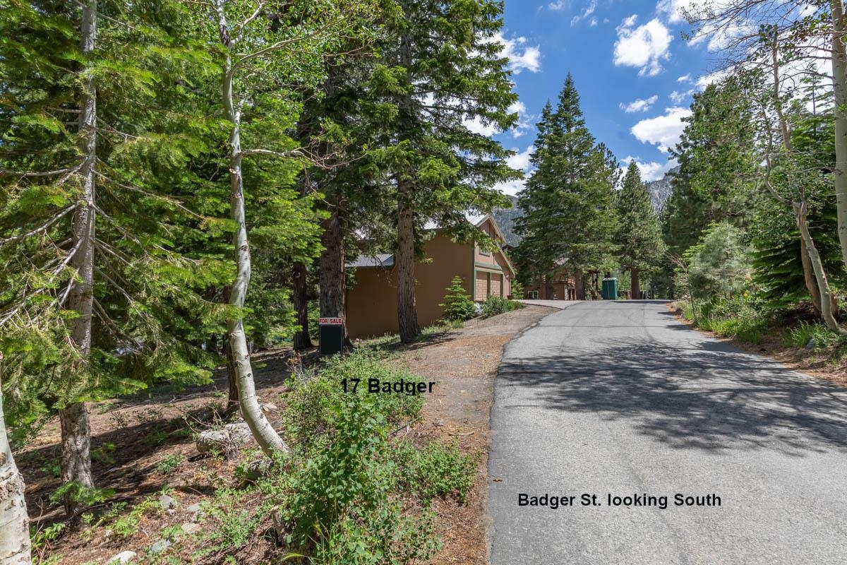 17 Badger Street Mammoth Lakes, CA 93546 - Photo 1 of 13 a view of backyard with green space