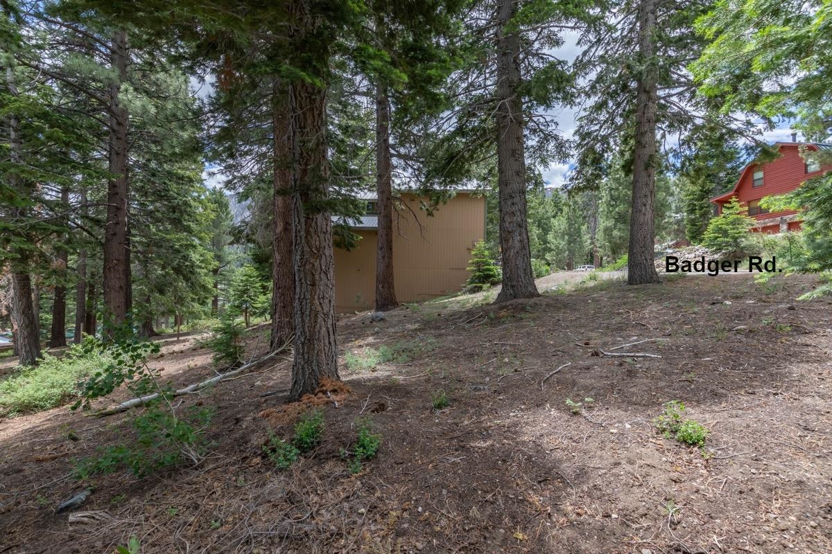 17 Badger Street Mammoth Lakes, CA 93546 - Photo 11 of 13 a backyard of a house with lots of green space