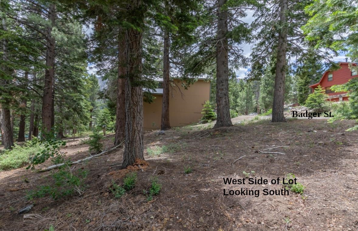 17 Badger Street Mammoth Lakes, CA 93546 - Photo 13 of 13 a view of outdoor space and yard