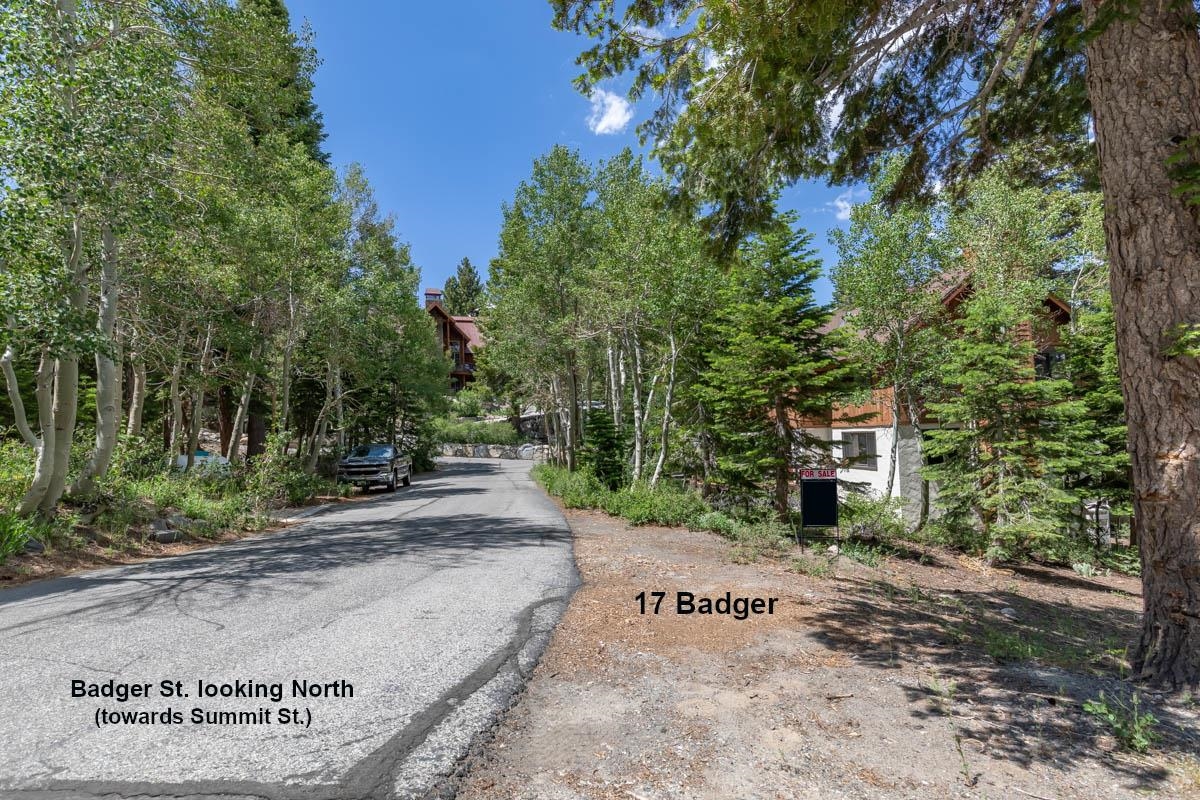 17 Badger Street Mammoth Lakes, CA 93546 - Photo 2 of 13 a view of a street with large trees