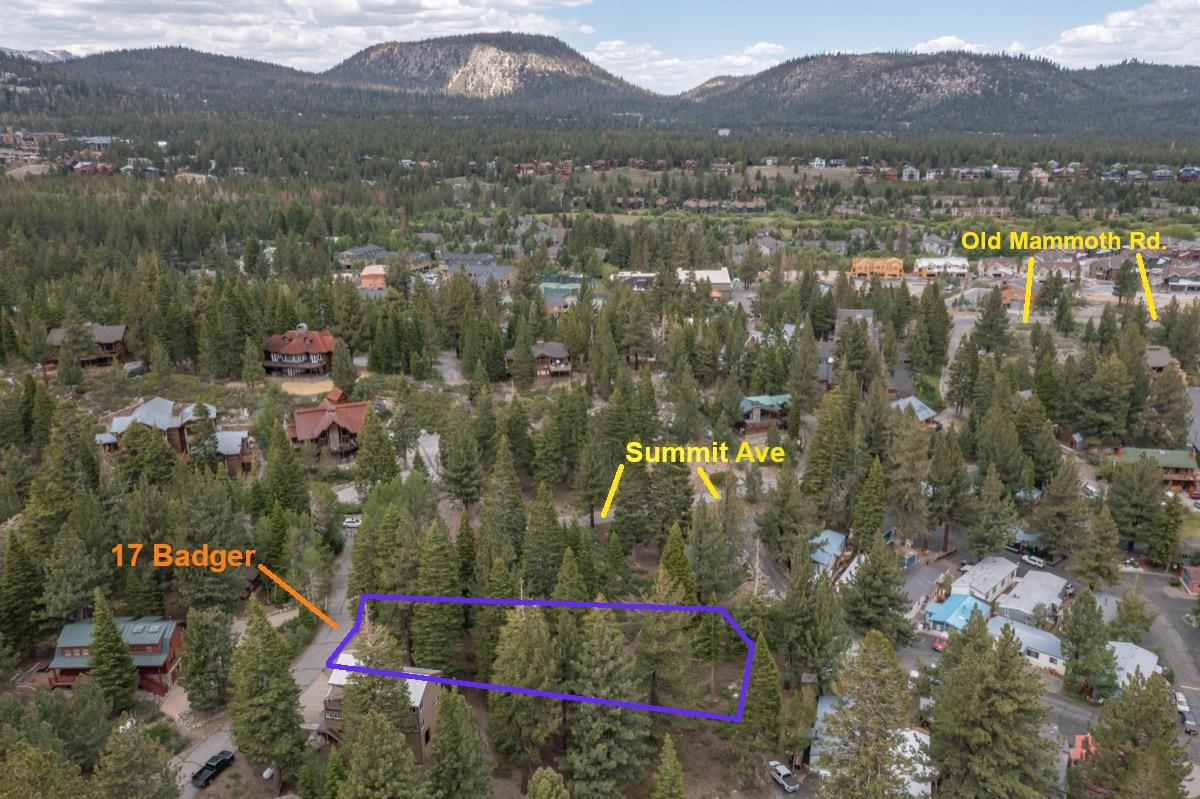 17 Badger Street Mammoth Lakes, CA 93546 - Photo 3 of 13 a view of lake and mountain view