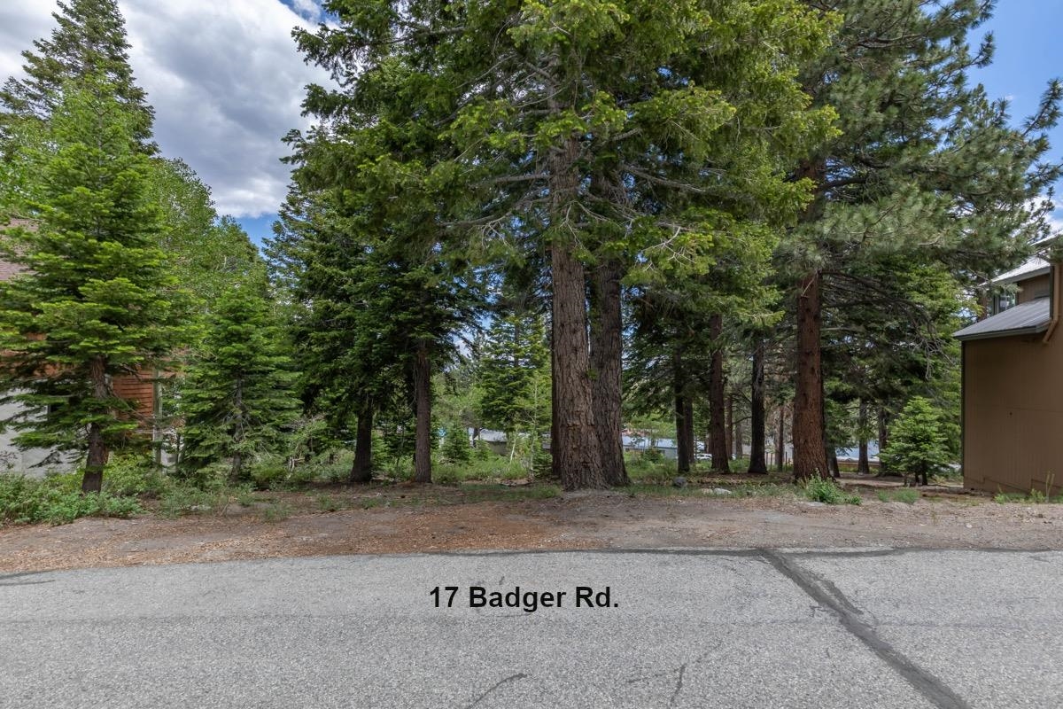 17 Badger Street Mammoth Lakes, CA 93546 - Photo 5 of 13 a view of a park that has large trees
