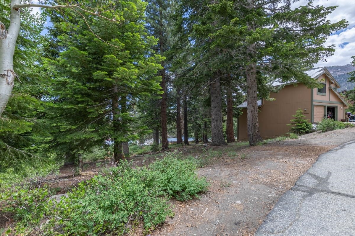 17 Badger Street Mammoth Lakes, CA 93546 - Photo 7 of 13 a view of a forest filled with trees