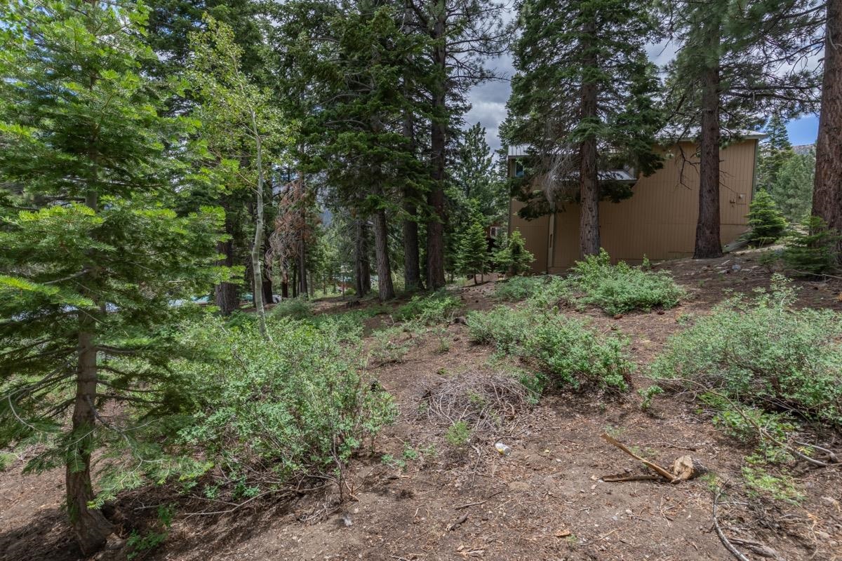 17 Badger Street Mammoth Lakes, CA 93546 - Photo 8 of 13 a view of backyard with green space