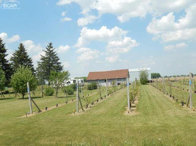 10725 Copas Road Lennon, MI 48449 - Photo 38 of 43 21170054-37.JPG