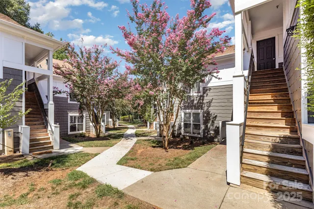 a view of a park with large trees