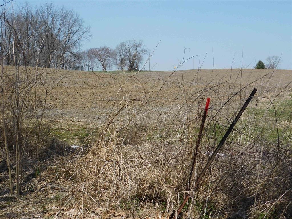 Tbd Ayp Road Lena, IL 61048 - Photo 1 of 2 a view of a dry yard