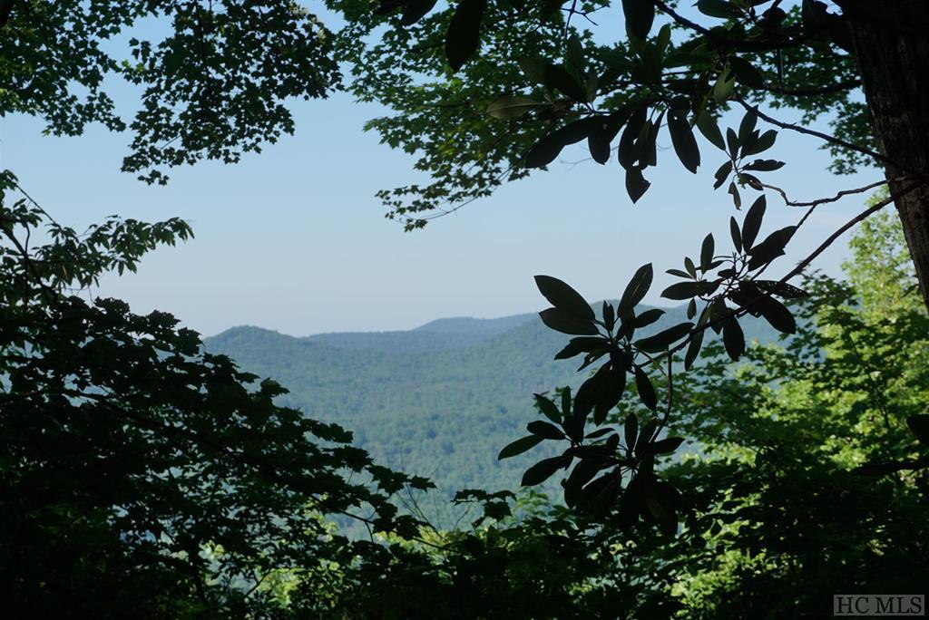 Lot # Tower Road Sapphire, NC 28774 - Photo 1 of 24 Gallery Image 1
