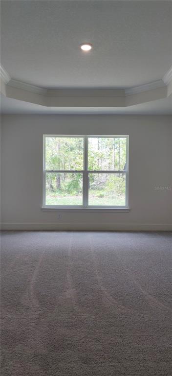 16295 Pomp Parkway Weeki Wachee, FL 34614 - Photo 20 of 28 an empty room with a window