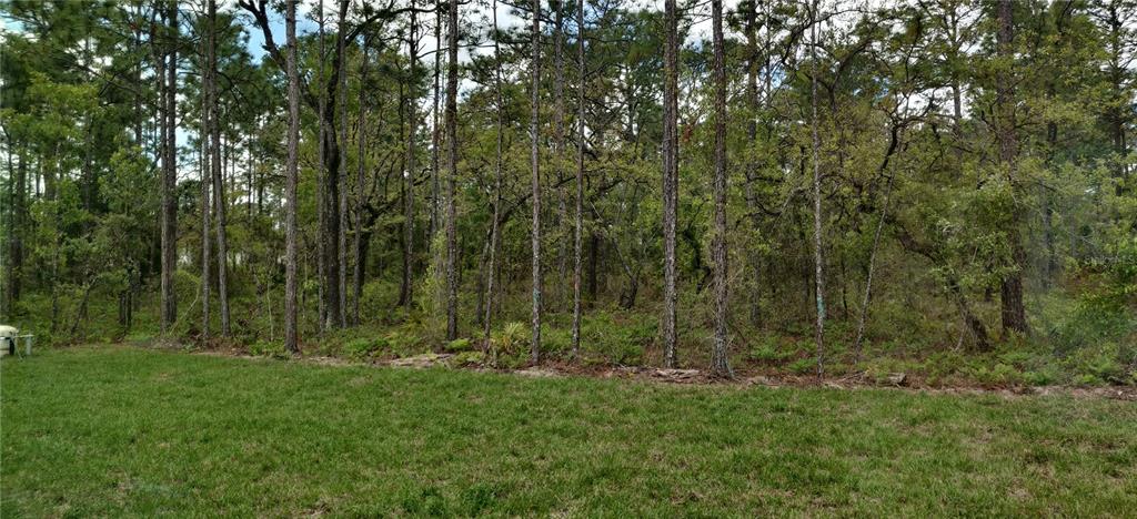 16295 Pomp Parkway Weeki Wachee, FL 34614 - Photo 26 of 28 a view of outdoor space and green space
