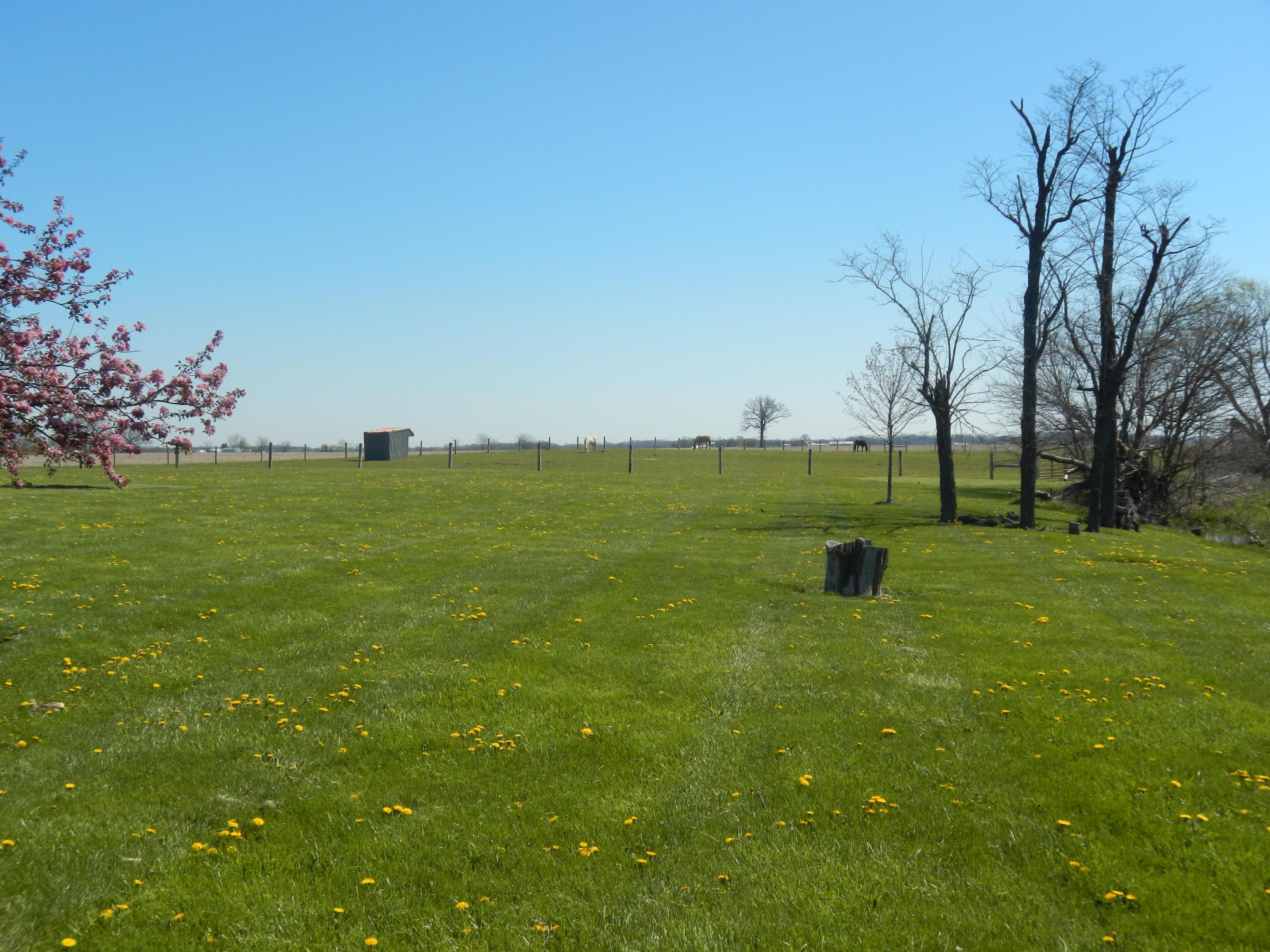 13190 Badger Road Williamsport, OH 43164 - Photo 7 of 33