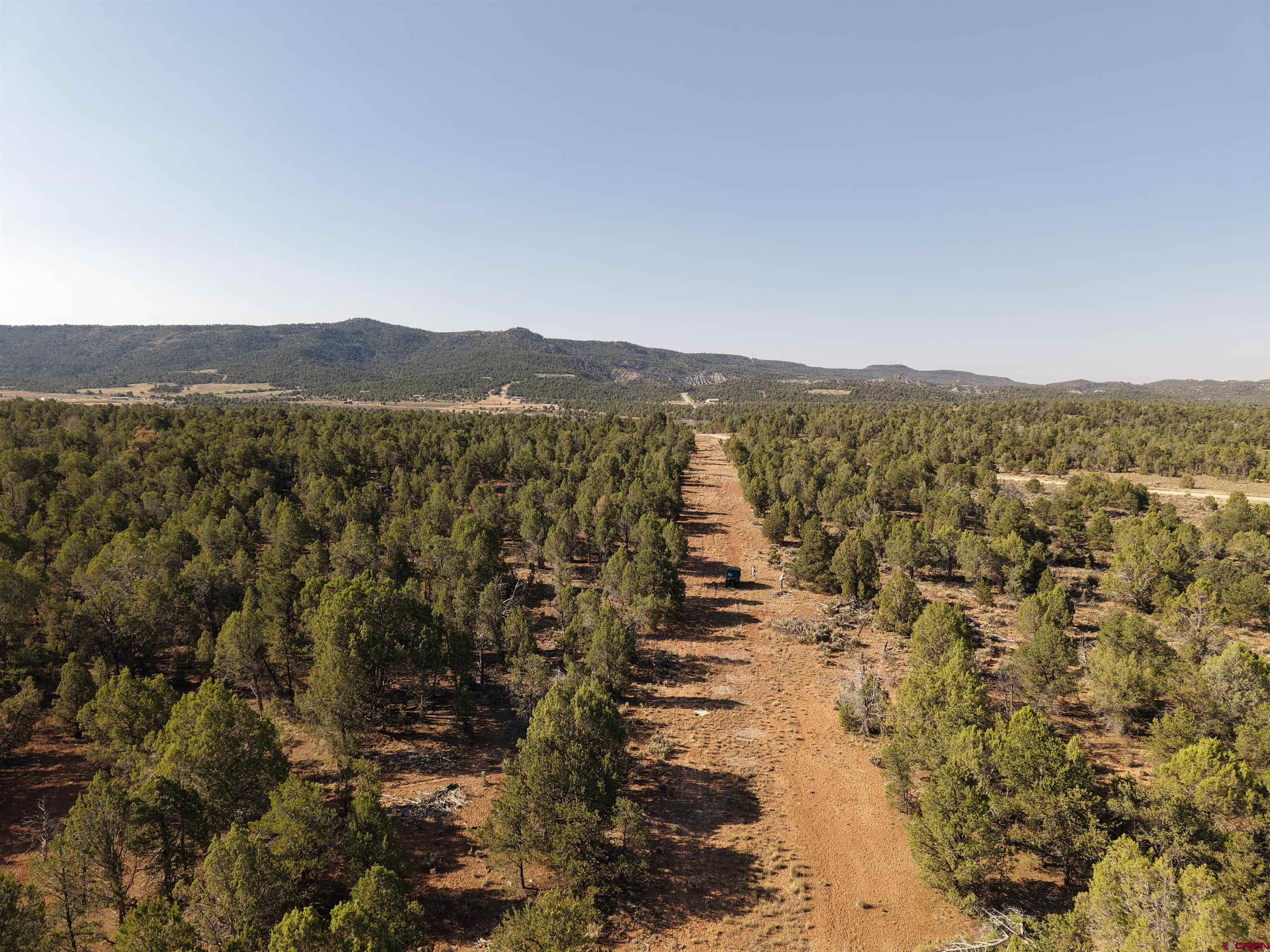 310 Ignacio Co 81137 Ignacio, CO 81137 - Photo 3 of 25