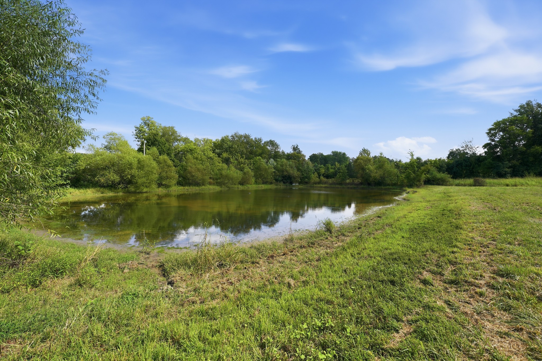 4854 Rock House Road Portland, TN 37148 - Photo 79 of 100 Gallery Image 79