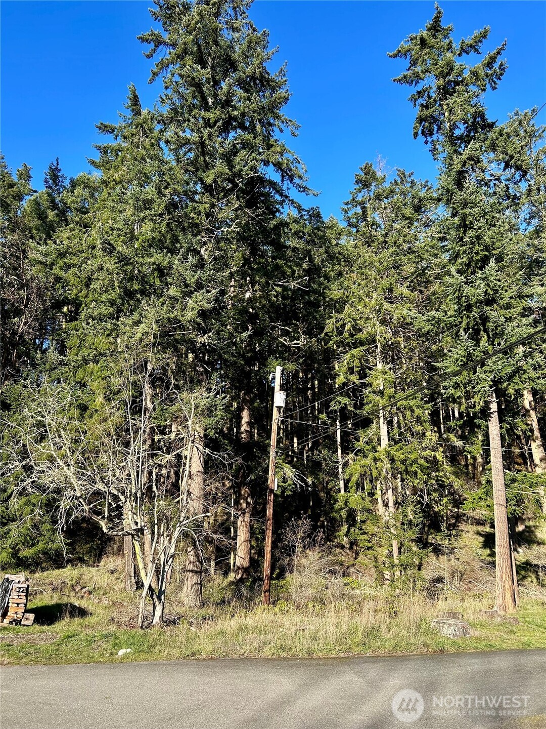 front view of a house with a tree