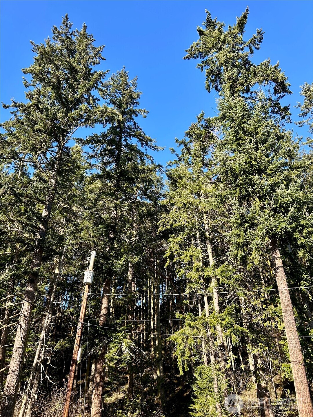 55 Vancouver Place Port Townsend, WA 98368 - Photo 4 of 11