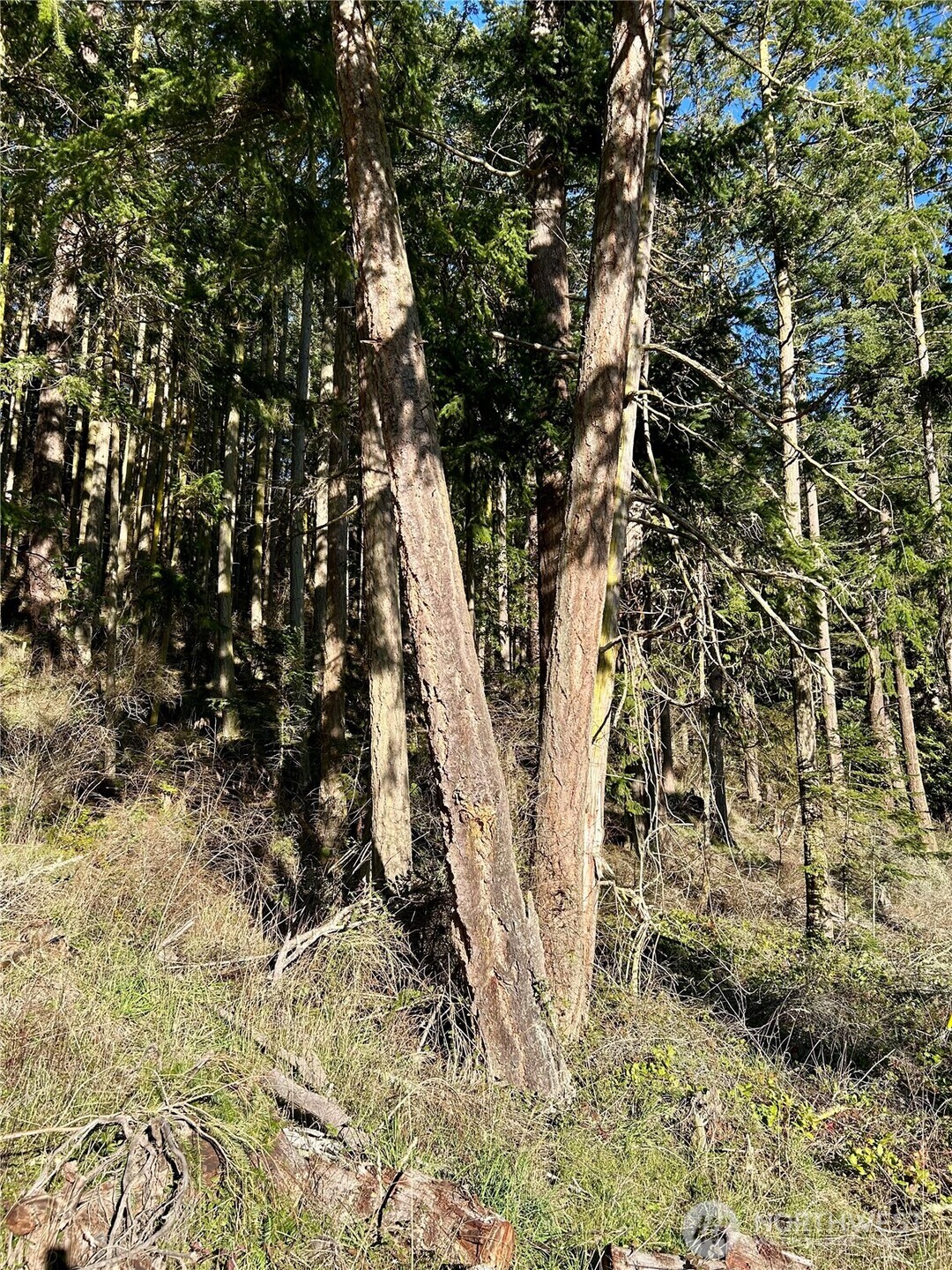 55 Vancouver Place Port Townsend, WA 98368 - Photo 5 of 11 a view of outdoor space with wooden fence
