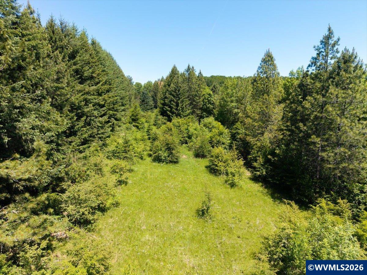 Lot 403 Southwest West Hills Road Corvallis, OR 97333 - Photo 6 of 8