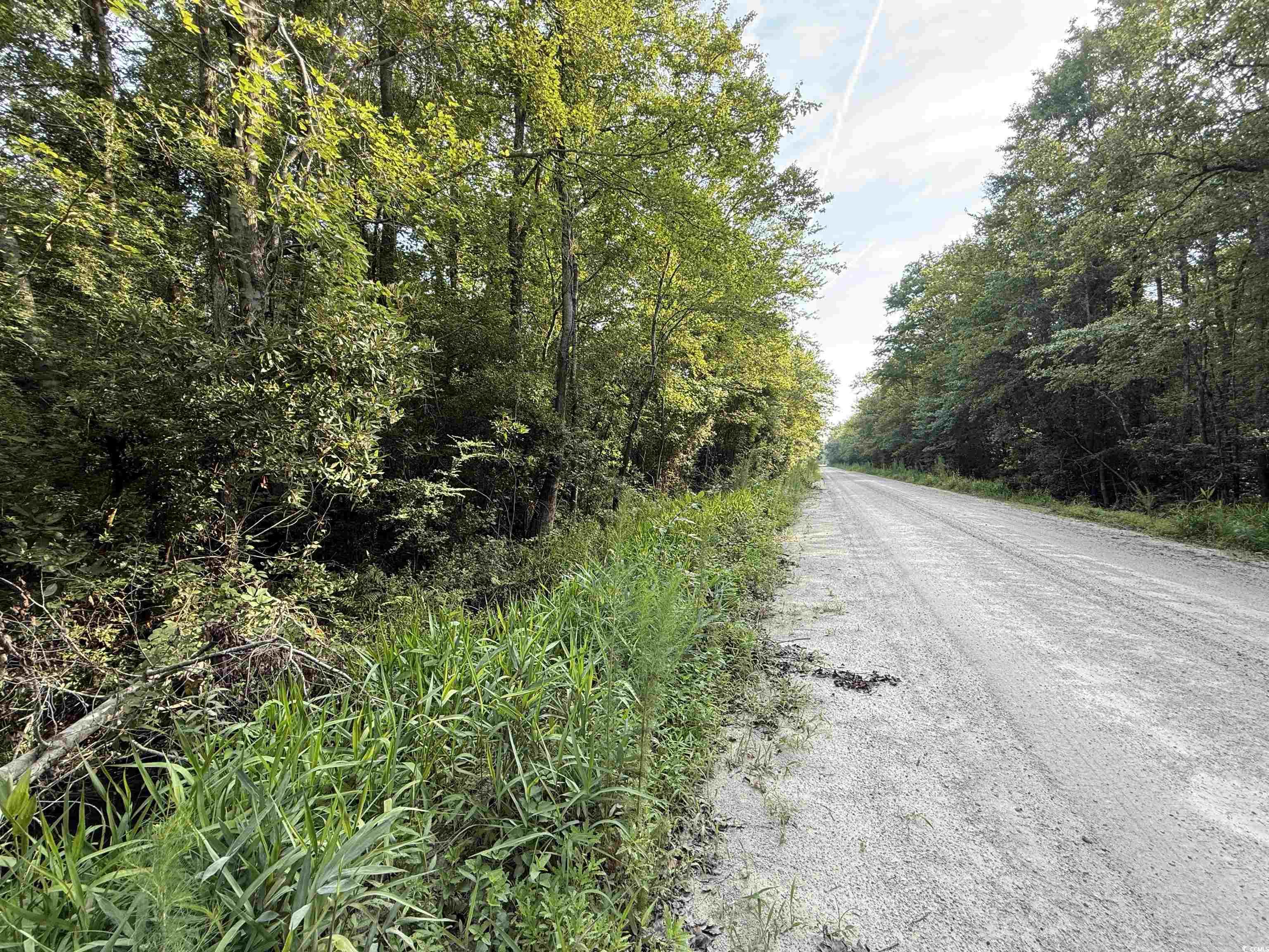 Tbd Wolf Pit Bay Road Nichols, SC 29581 - Photo 3 of 9