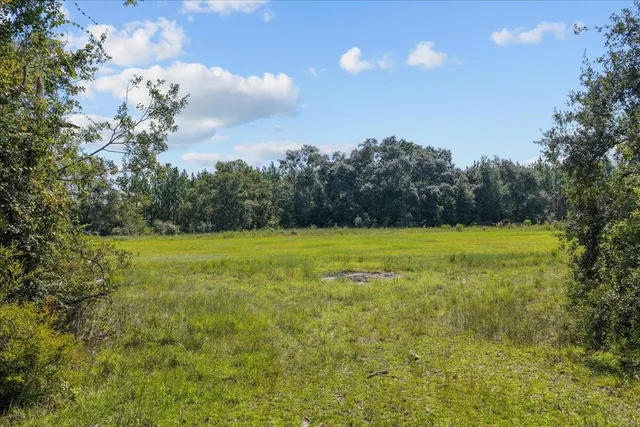 $900,000 | 357 Northeast Willowrun Way, Pinetta, FL 32350