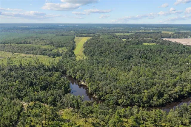 $900,000 | 357 Northeast Willowrun Way, Pinetta, FL 32350