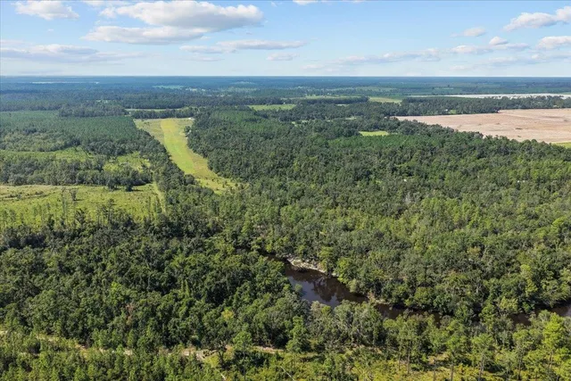 $900,000 | 357 Northeast Willowrun Way, Pinetta, FL 32350