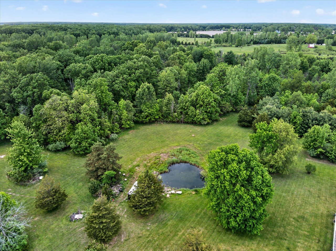 5569 South Corey Road Perry, MI 48872 - Photo 40 of 63