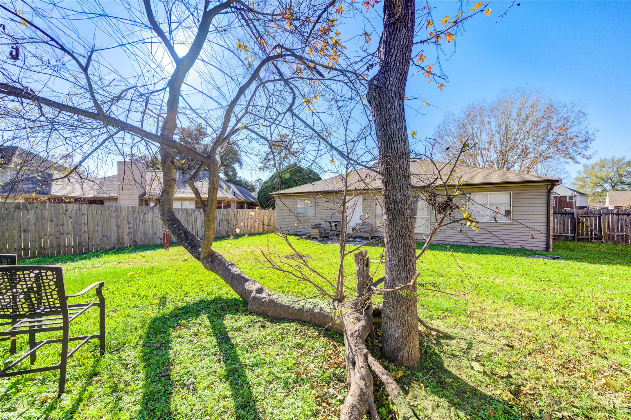 23618 Tree House Lane Spring, TX 77373 - Photo 40 of 46 a view of backyard with swimming pool