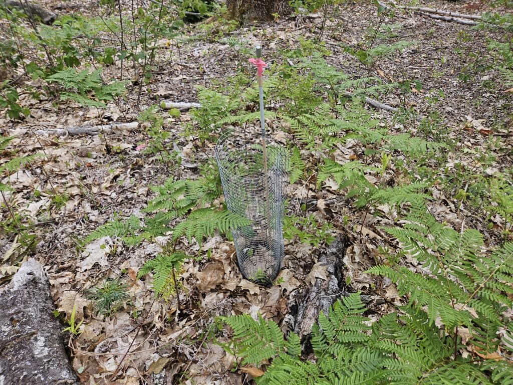 19 A Quaker Ridge Road Leeds, ME 04263 - Photo 26 of 37 20260716_132658