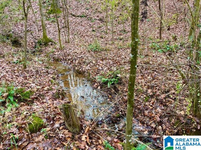 0 Deaver Walker Road Trafford, AL 35172 - Photo 16 of 28