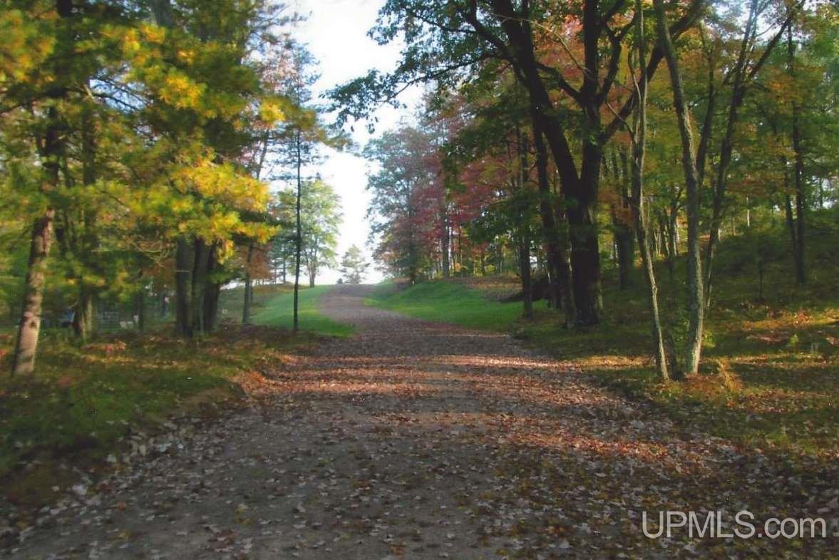 Tbd Wpa Road, Unit LOT 1 Vulcan, MI 49892 - Photo 2 of 4