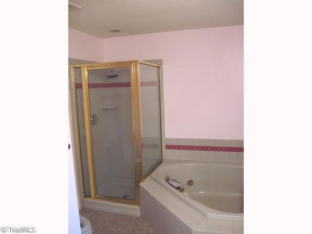 8011 Homestead Farm Road Belews Creek, NC 27009 - Photo 9 of 13 Master Bath/Spa.