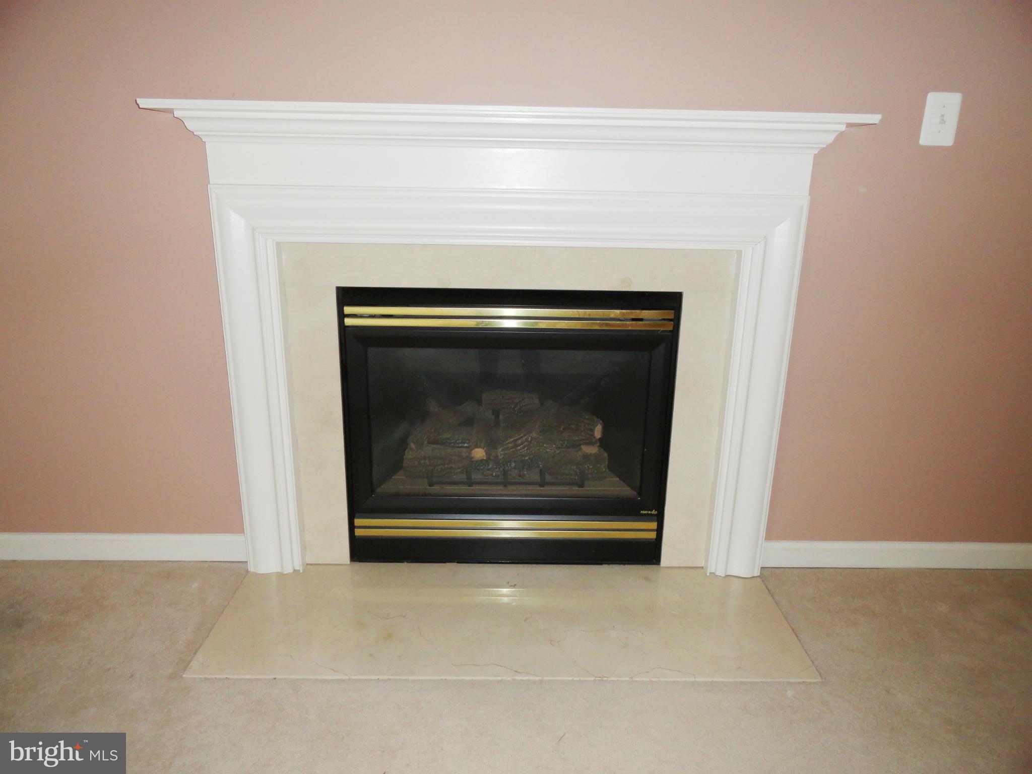 2597 Bear Den Road Frederick, MD 21701 - Photo 15 of 30 Family Room with Fireplace