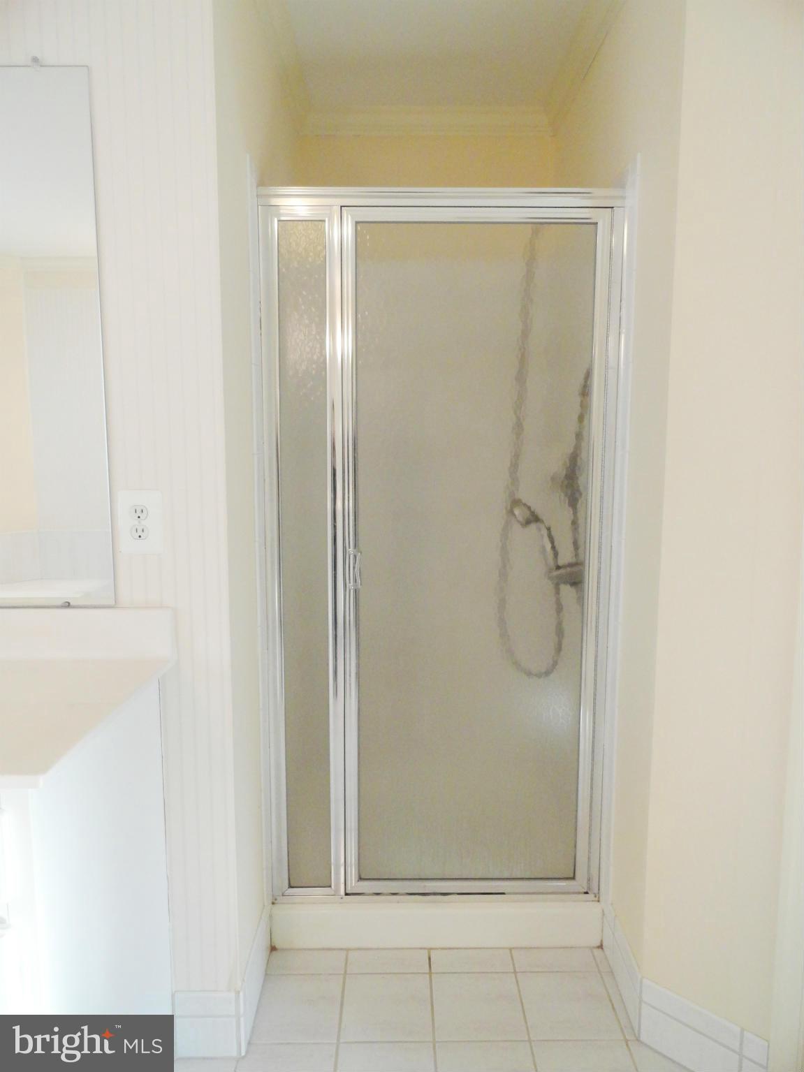 2597 Bear Den Road Frederick, MD 21701 - Photo 21 of 30 Bath (Master)