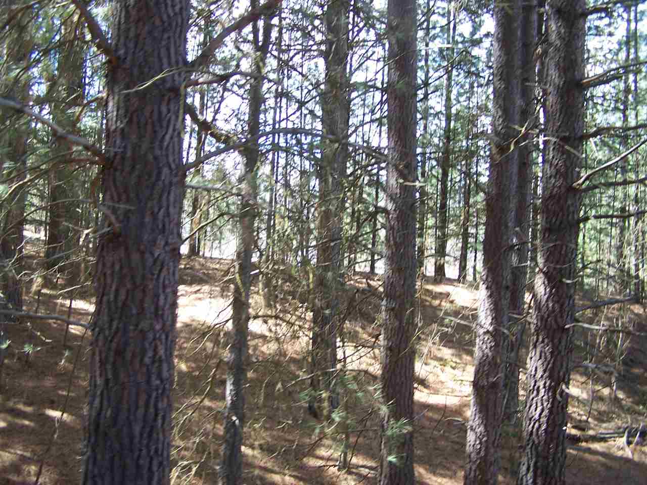 Xx Wilcox Road Northport, WA 99157 - Photo 2 of 4 Gallery Image 2