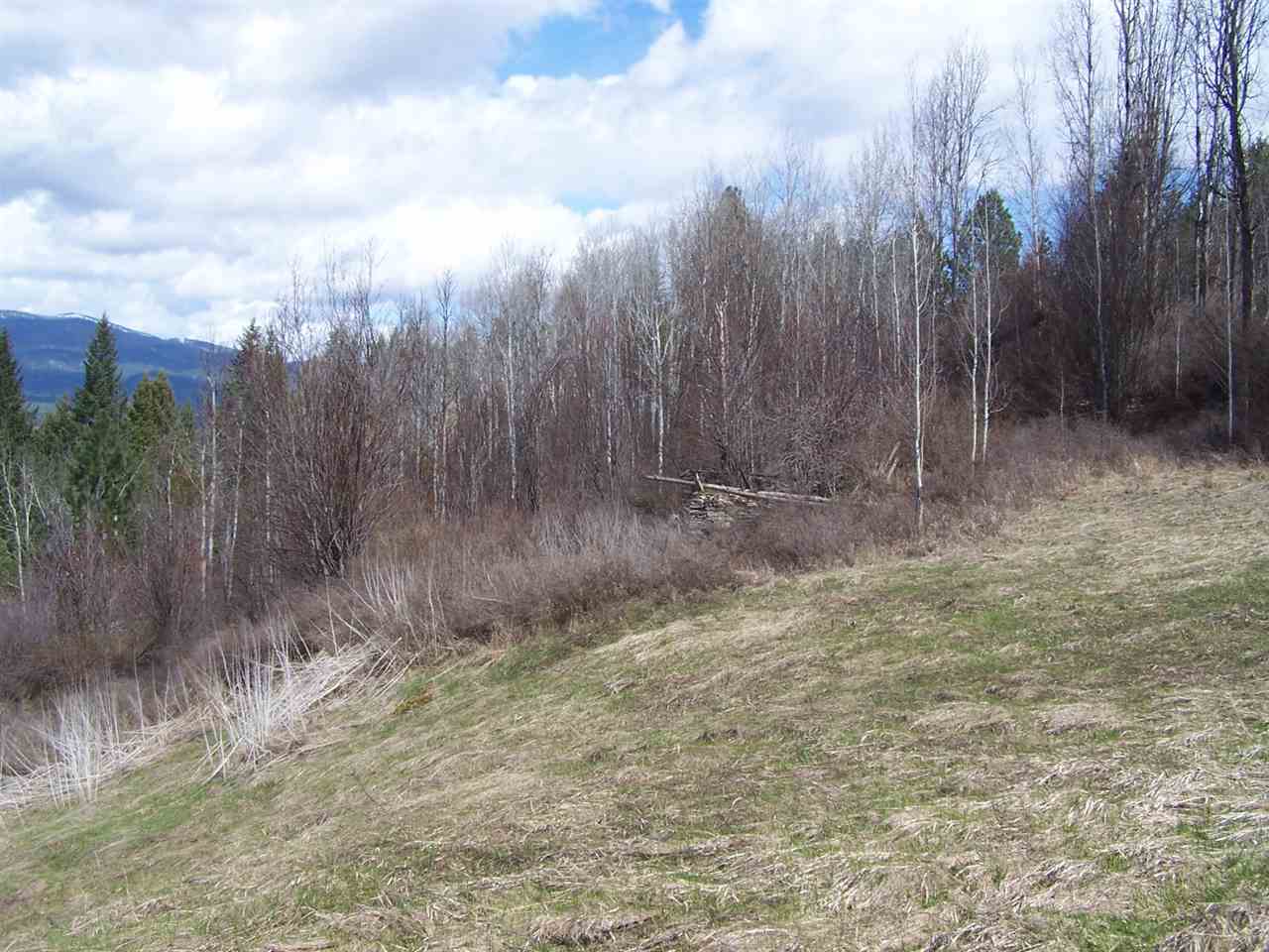 Xx Wilcox Road Northport, WA 99157 - Photo 3 of 4 Gallery Image 3