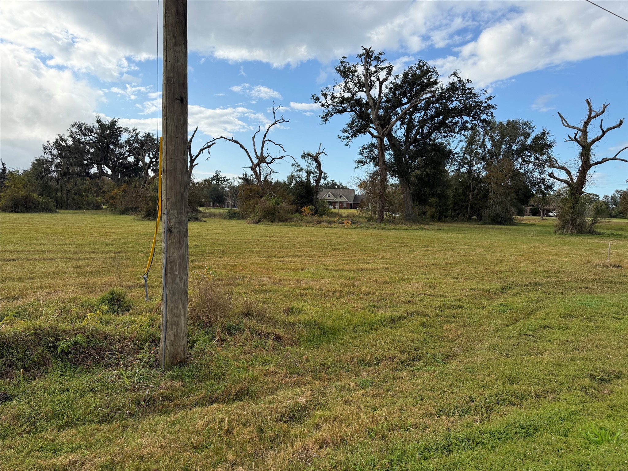 0 Turning Bayou Trail Angleton, TX 77515 - Photo 2 of 8 a view of a field with an trees in the background