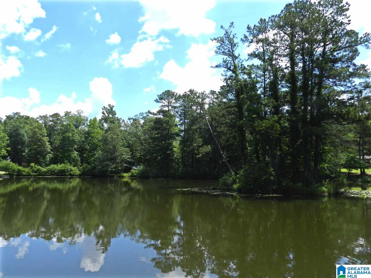 170 Mockingbird Lane Sterrett, AL 35147 - Photo 26 of 27