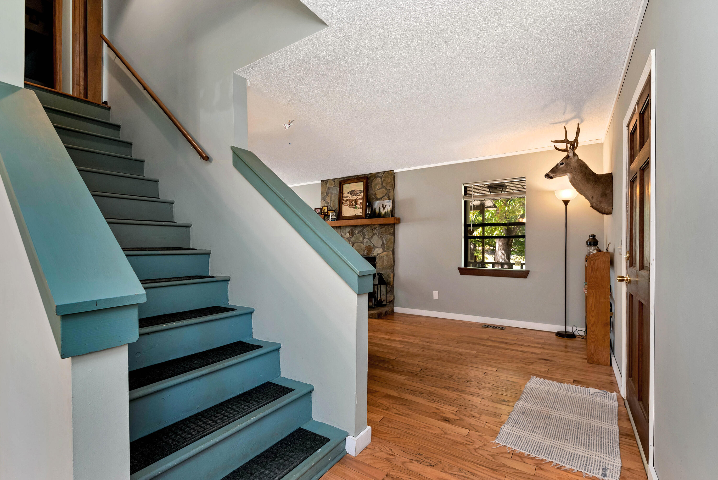 373 Jennys Cove Road Cleveland, GA 30528 - Photo 13 of 43 SP1_5209
