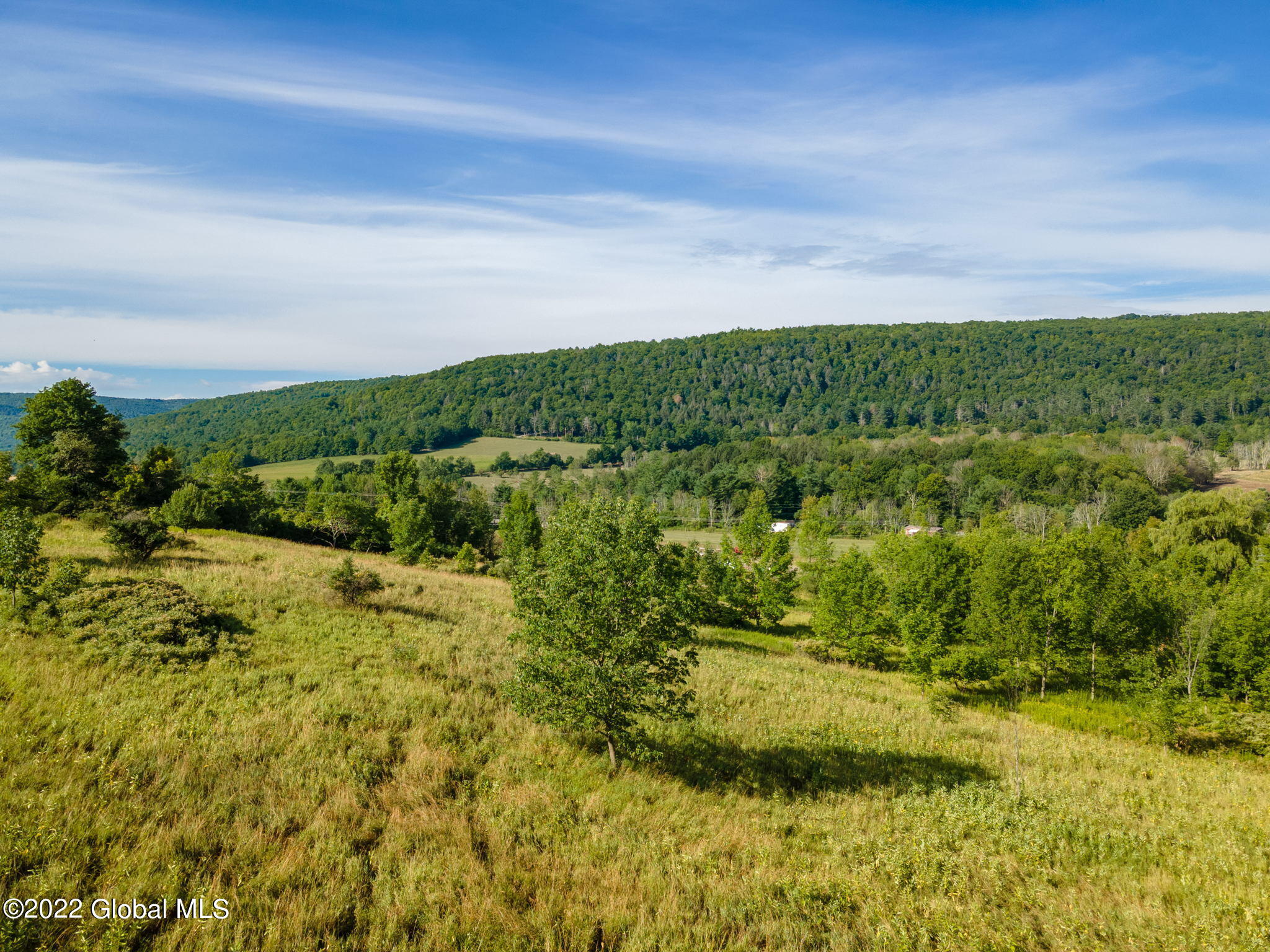 246 Windy Ridge Road Middleburgh, NY 12122 - Photo 6 of 16 6-web-or-mls-258WindyRidgeRd-6